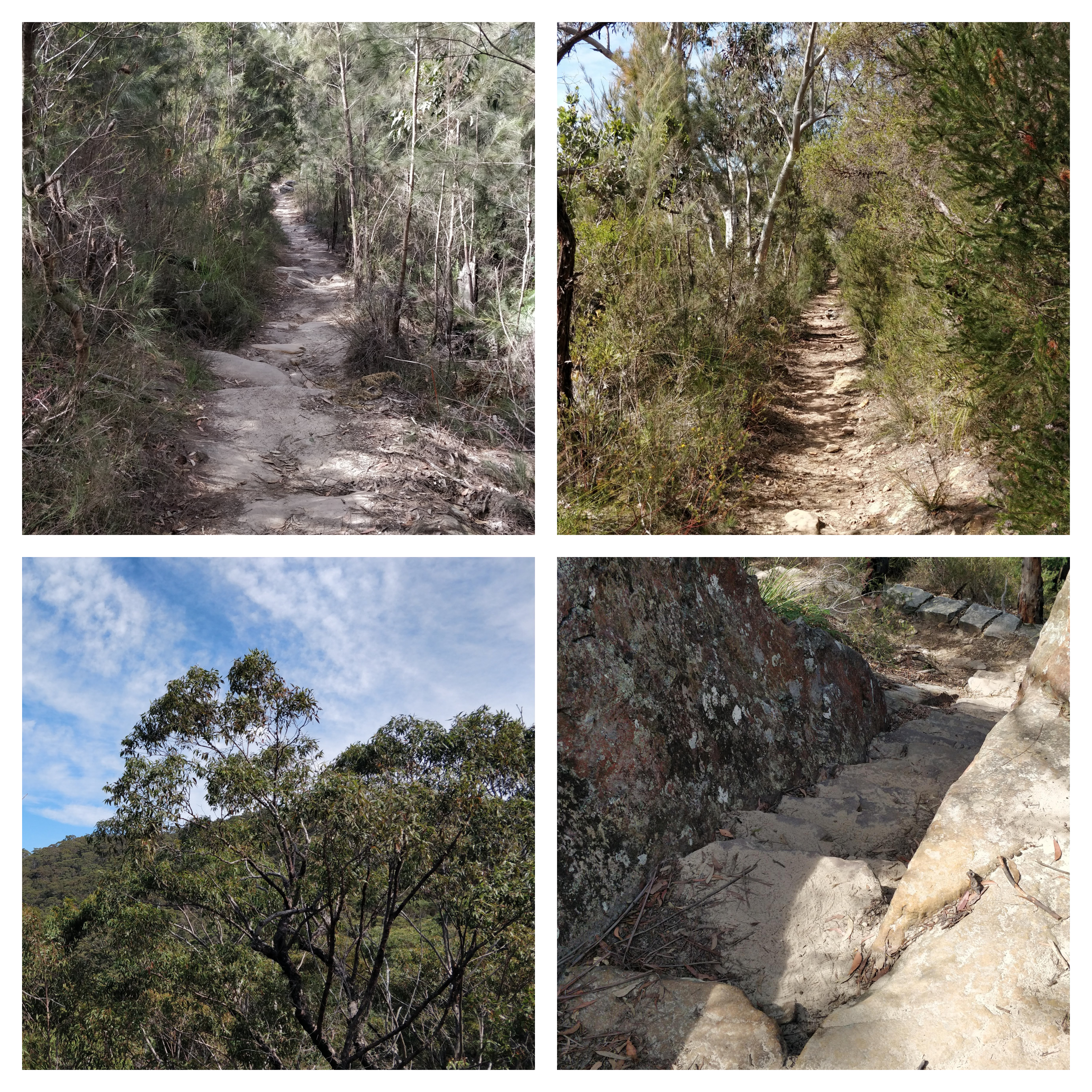 BeFunky-collage (10)