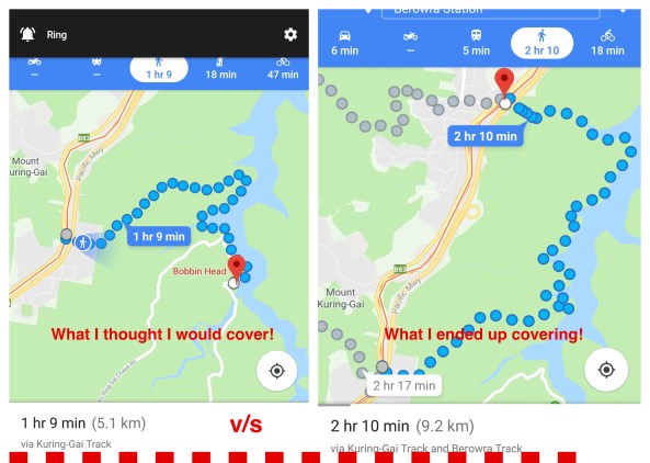 BeFunky-collage (11).jpg