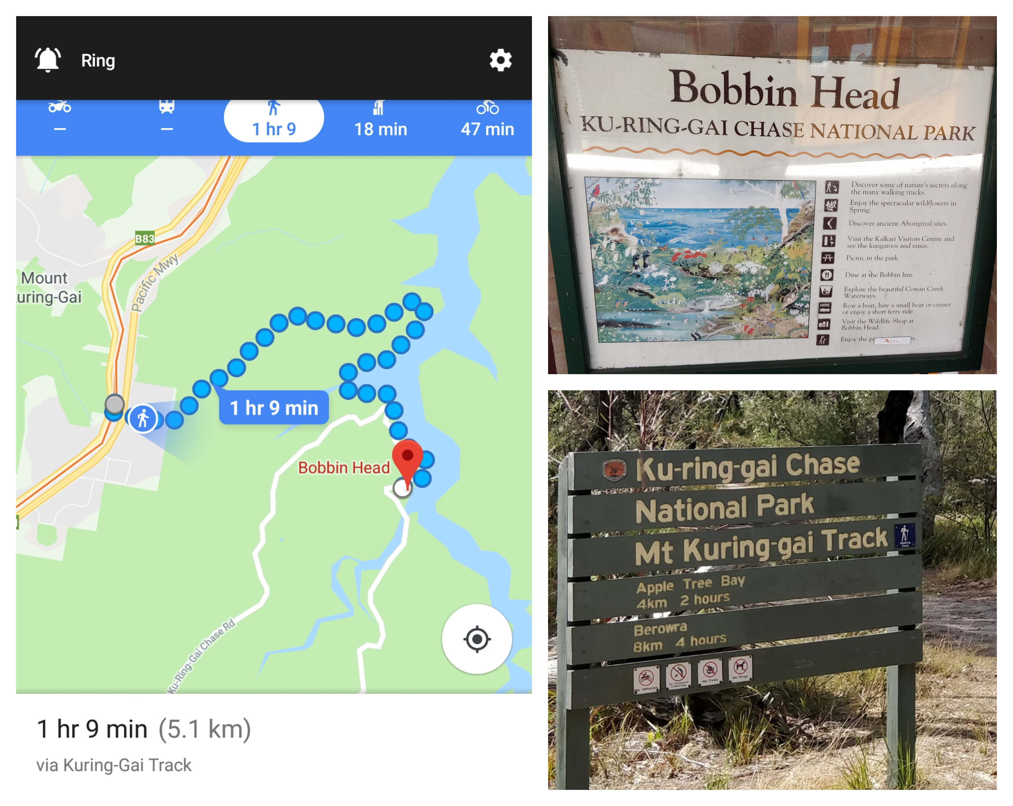 BeFunky-collage (9).jpg